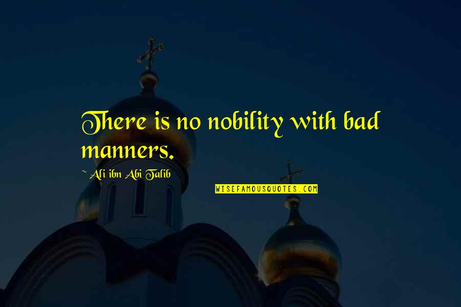 Talib Quotes By Ali Ibn Abi Talib: There is no nobility with bad manners.