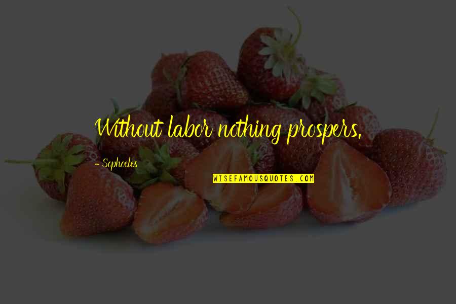 Talimi Montessori Quotes By Sophocles: Without labor nothing prospers.