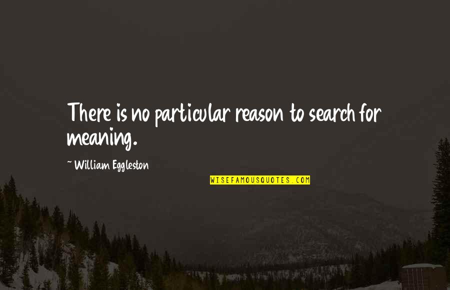Talking Behind Others Backs Quotes By William Eggleston: There is no particular reason to search for