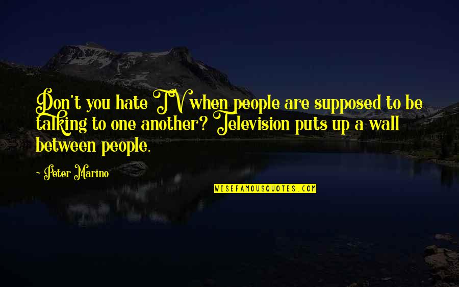 Talking To You Quotes By Peter Marino: Don't you hate TV when people are supposed Talking To You Quotes By Peter Marino: Don't you hate TV when people are supposed