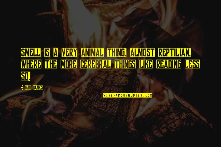 Talking To Your Sister Quotes By Iain Banks: Smell is a very animal thing, almost reptilian,