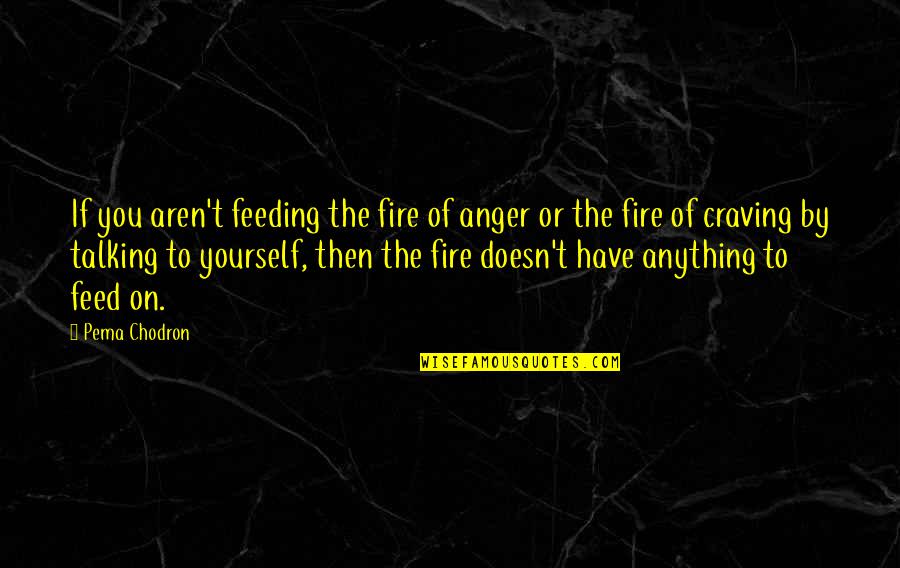 Talking To Yourself Quotes By Pema Chodron: If you aren't feeding the fire of anger
