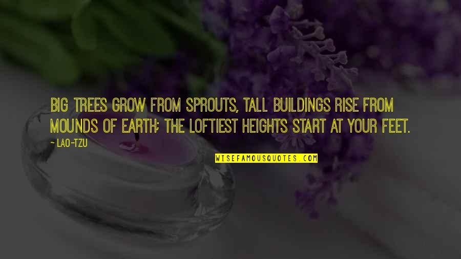 Tall Buildings Quotes By Lao-Tzu: Big trees grow from sprouts, tall buildings rise