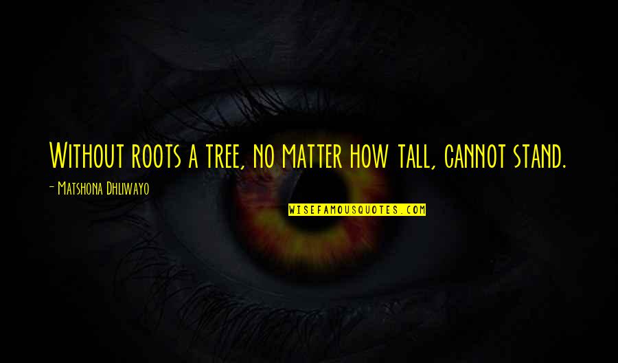 Tall Quotes Quotes By Matshona Dhliwayo: Without roots a tree, no matter how tall,