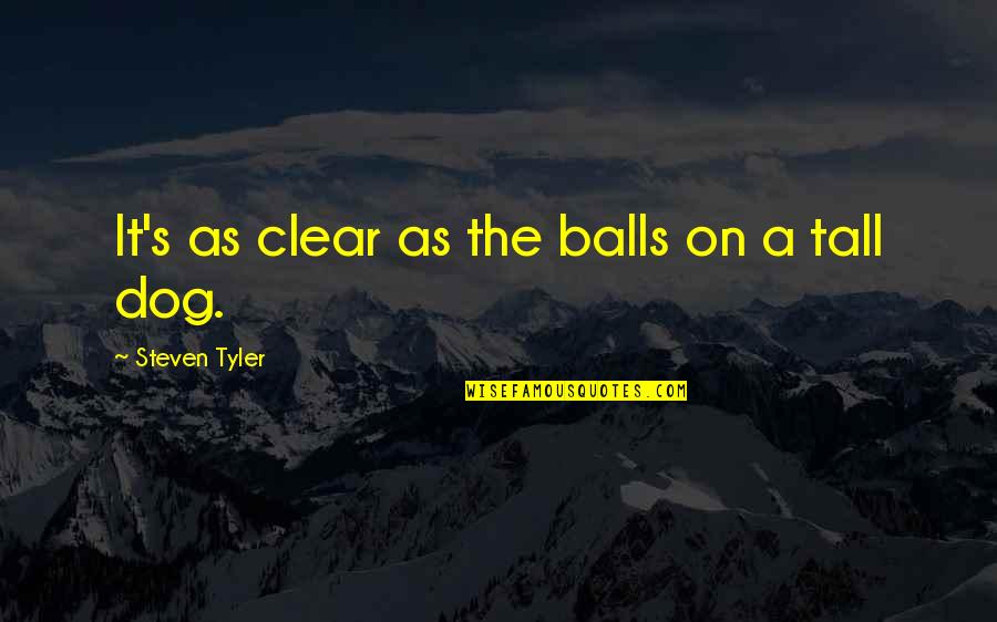 Tall's Quotes By Steven Tyler: It's as clear as the balls on a Tall's Quotes By Steven Tyler: It's as clear as the balls on a
