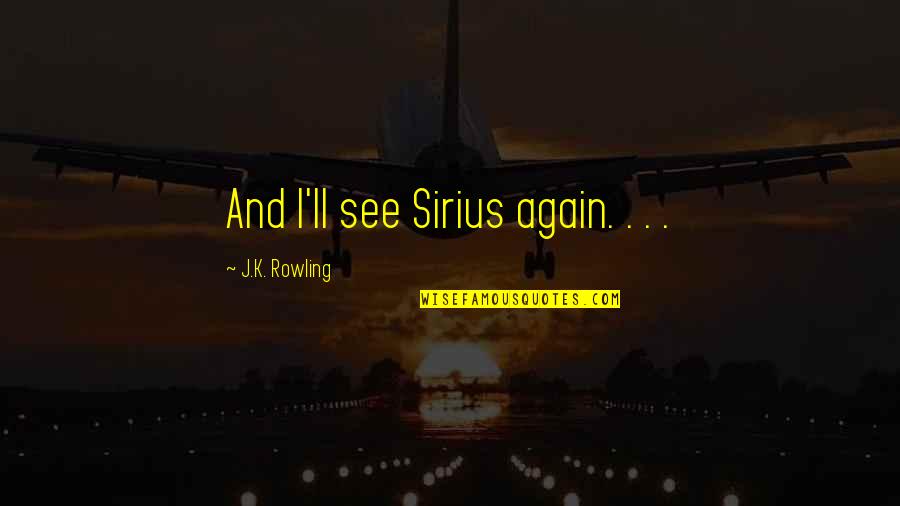 Talmanes Quotes By J.K. Rowling: And I'll see Sirius again. . . .
