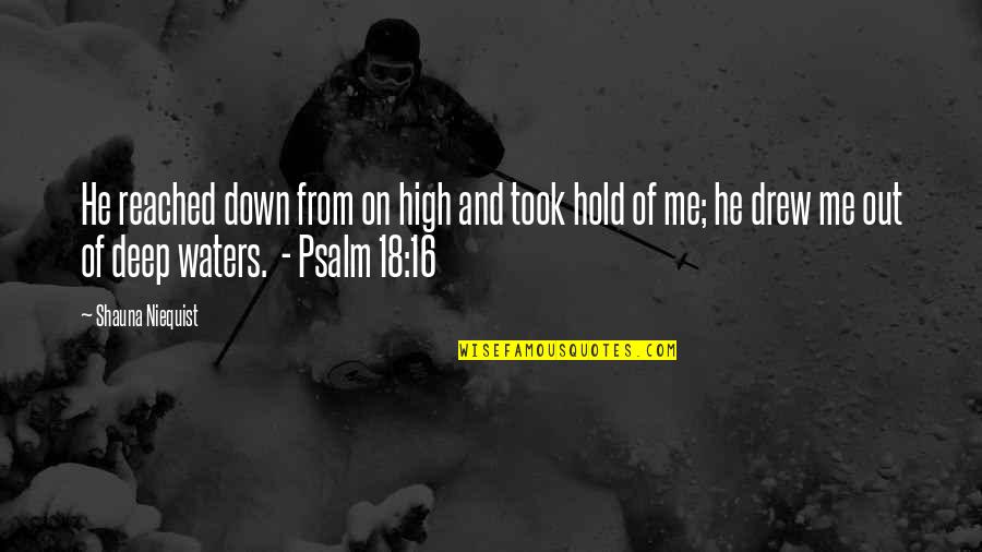 Talmud Family Quotes By Shauna Niequist: He reached down from on high and took Talmud Family Quotes By Shauna Niequist: He reached down from on high and took