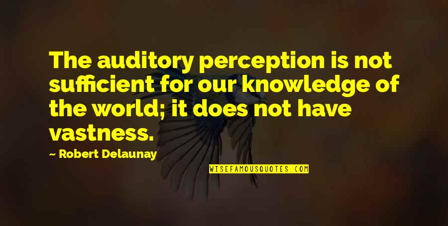 Talqeen Boy Quotes By Robert Delaunay: The auditory perception is not sufficient for our