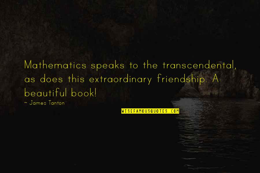 Tamahine Movie Quotes By James Tanton: Mathematics speaks to the transcendental, as does this