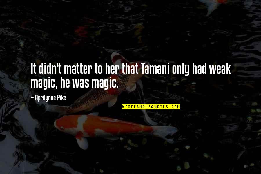 Tamani Quotes By Aprilynne Pike: It didn't matter to her that Tamani only