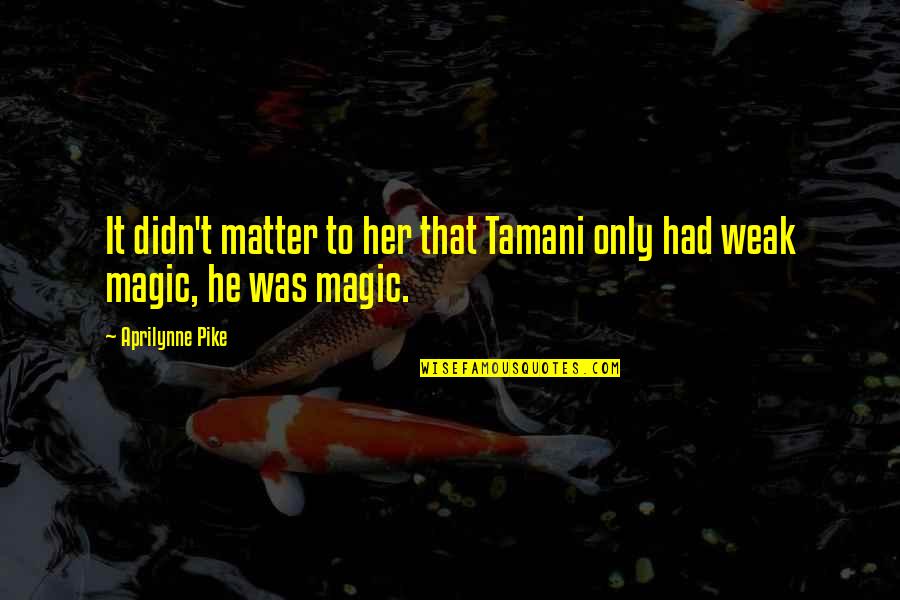 Tamani's Quotes By Aprilynne Pike: It didn't matter to her that Tamani only