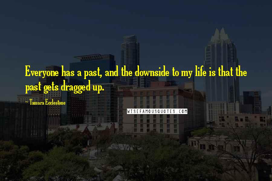 Tamara Ecclestone quotes: Everyone has a past, and the downside to my life is that the past gets dragged up.