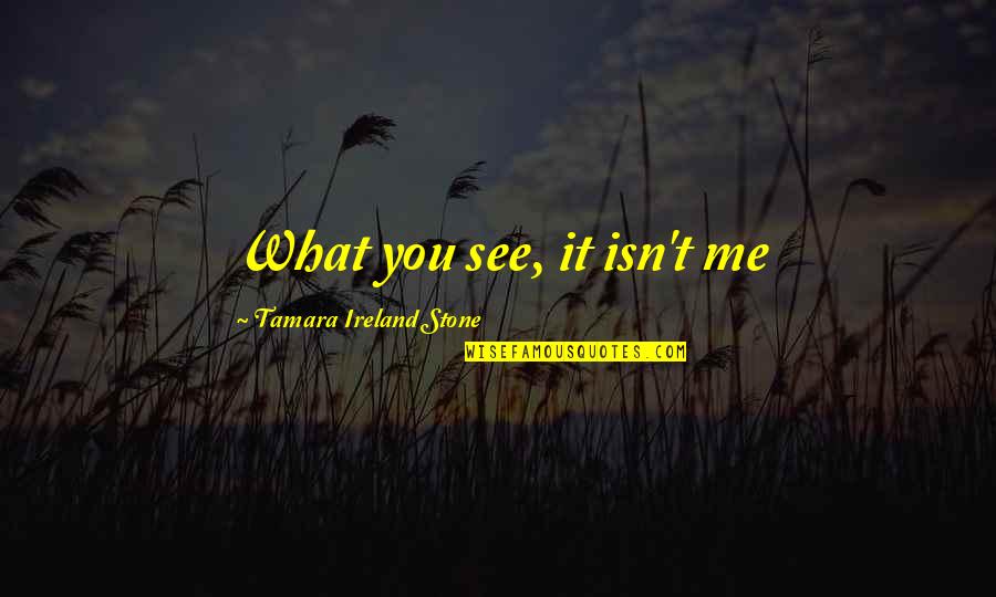 Tamara Ireland Stone Quotes By Tamara Ireland Stone: What you see, it isn't me