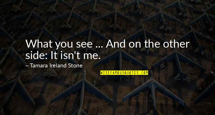 Tamara Ireland Stone Quotes By Tamara Ireland Stone: What you see ... And on the other