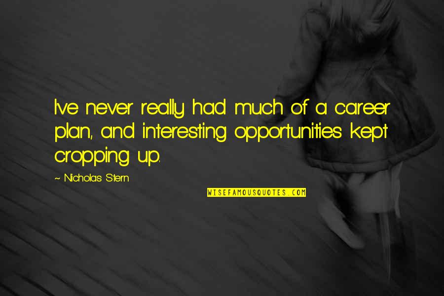 Tambalearse En Quotes By Nicholas Stern: I've never really had much of a career