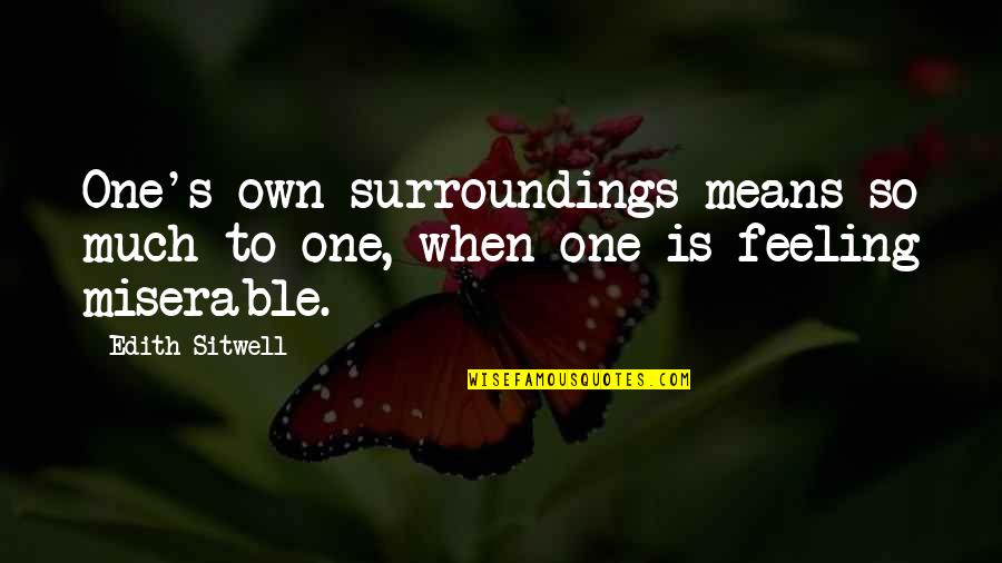 Tambiolo Quotes By Edith Sitwell: One's own surroundings means so much to one,