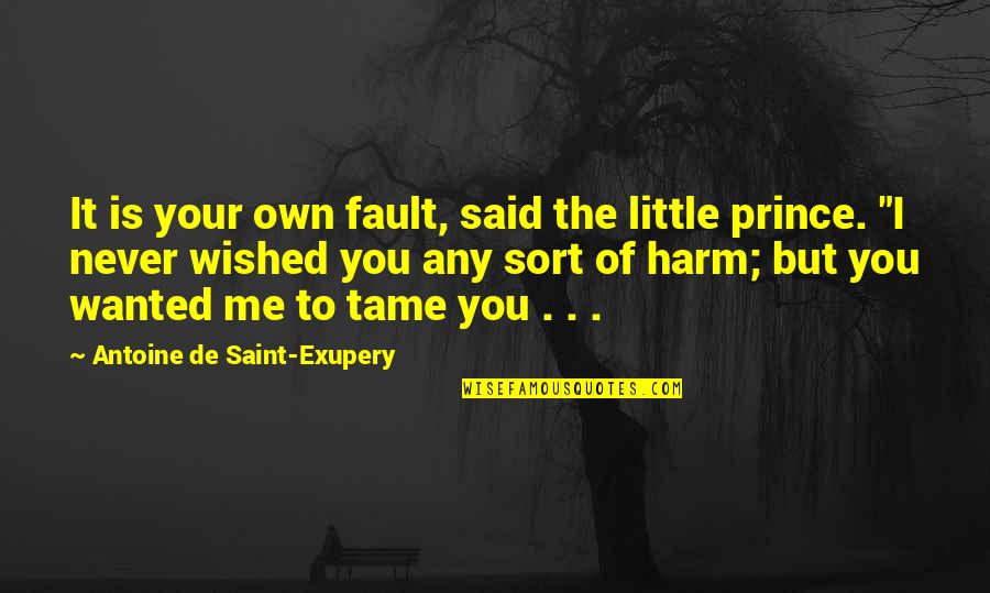 Tame Me Quotes By Antoine De Saint-Exupery: It is your own fault, said the little
