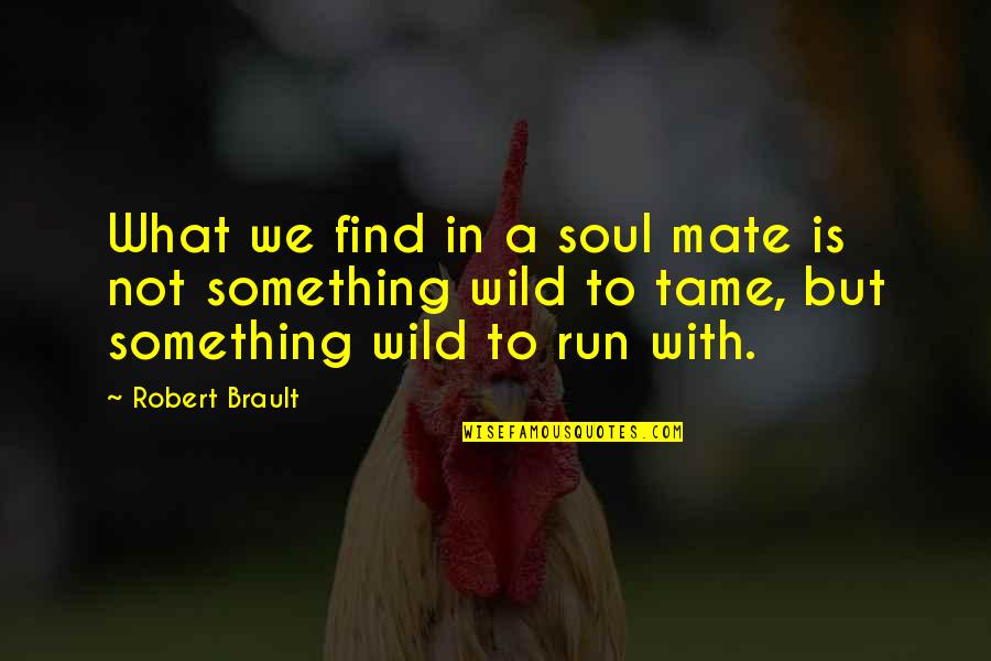 Tame Quotes By Robert Brault: What we find in a soul mate is Tame Quotes By Robert Brault: What we find in a soul mate is