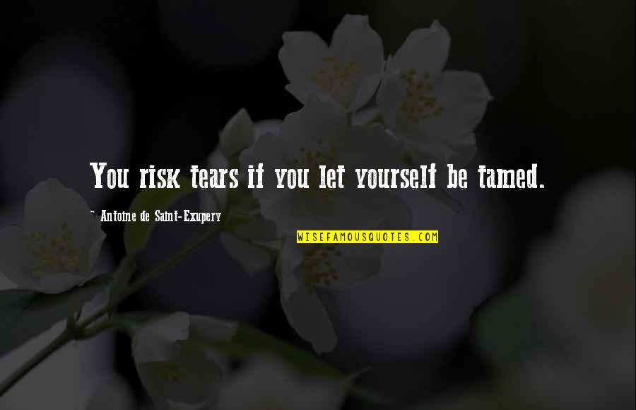 Tamed Quotes By Antoine De Saint-Exupery: You risk tears if you let yourself be