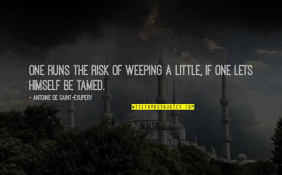 Tamed Quotes By Antoine De Saint-Exupery: One runs the risk of weeping a little, Tamed Quotes By Antoine De Saint-Exupery: One runs the risk of weeping a little,