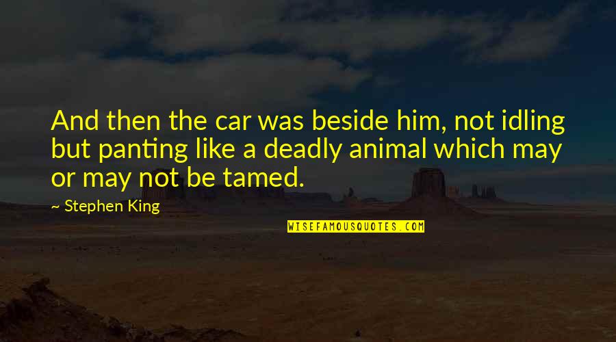Tamed Quotes By Stephen King: And then the car was beside him, not