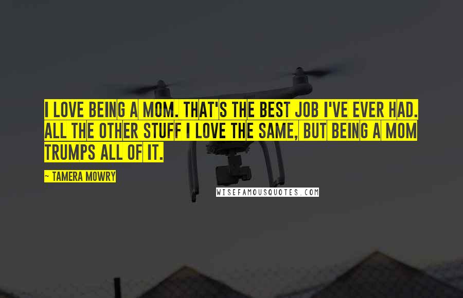 Tamera Mowry quotes: I love being a mom. That's the best job I've ever had. All the other stuff I love the same, but being a mom trumps all of it.