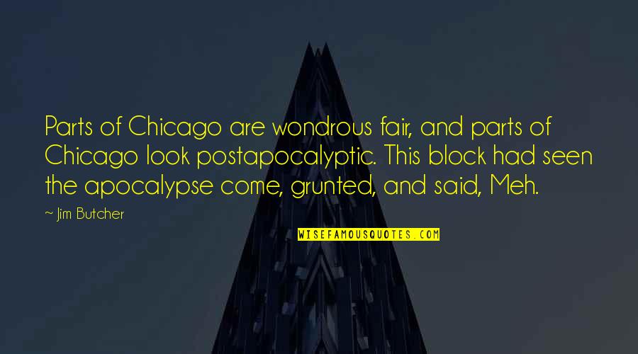 Tamesis Vessel Quotes By Jim Butcher: Parts of Chicago are wondrous fair, and parts Tamesis Vessel Quotes By Jim Butcher: Parts of Chicago are wondrous fair, and parts