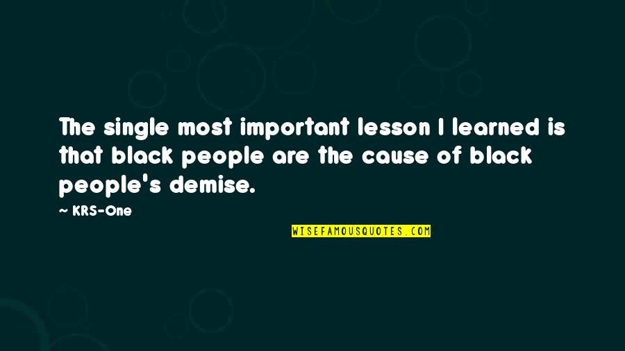 Tamim Ansary Quotes By KRS-One: The single most important lesson I learned is