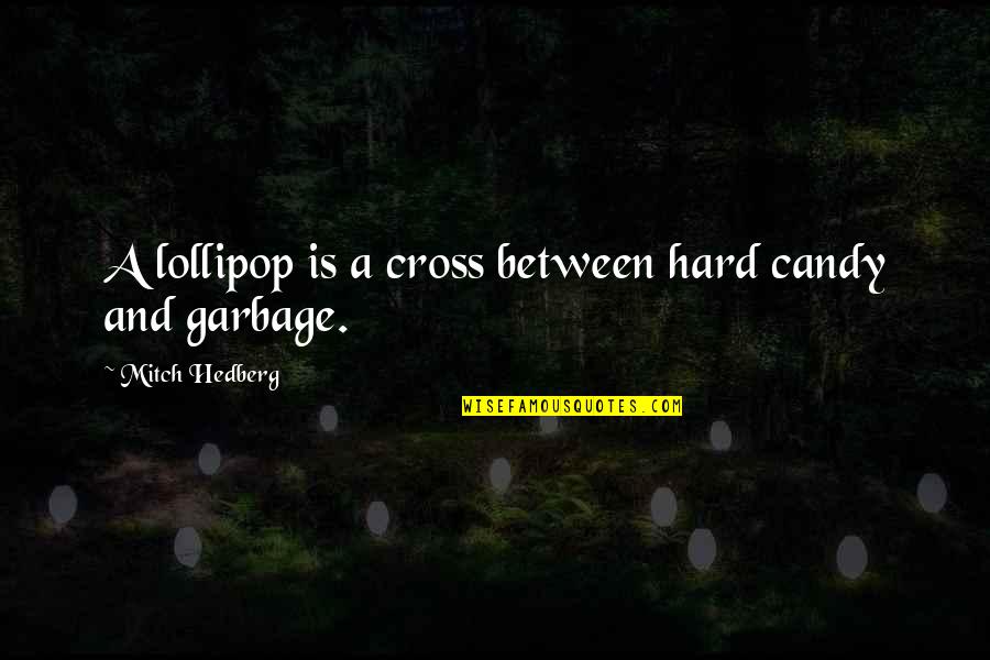 Tamirson Quotes By Mitch Hedberg: A lollipop is a cross between hard candy Tamirson Quotes By Mitch Hedberg: A lollipop is a cross between hard candy