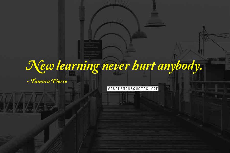 Tamora Pierce quotes: New learning never hurt anybody.