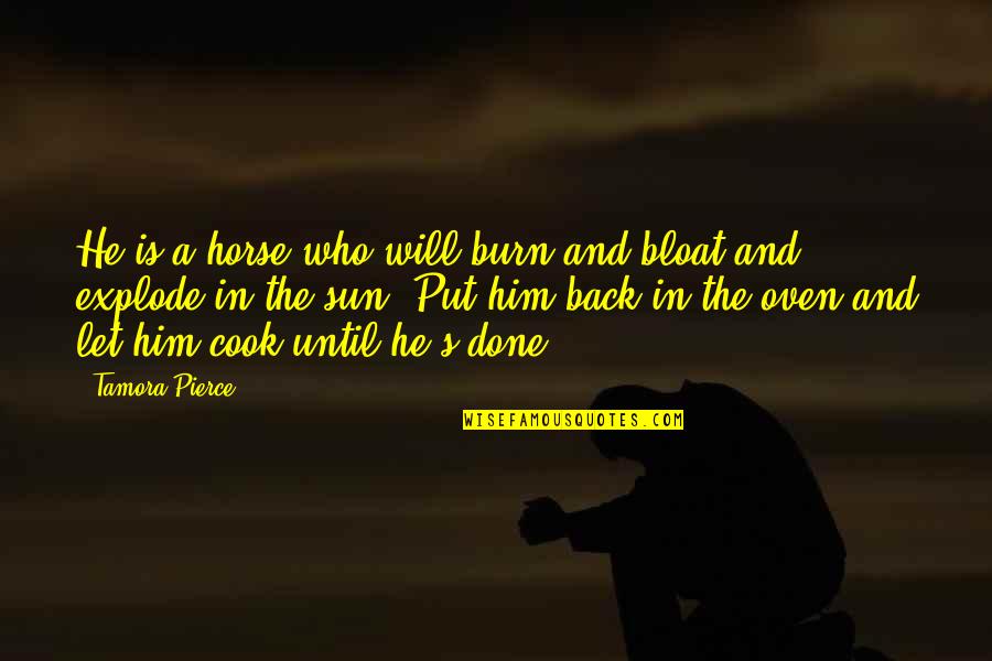 Tamora Pierce Quotes By Tamora Pierce: He is a horse who will burn and