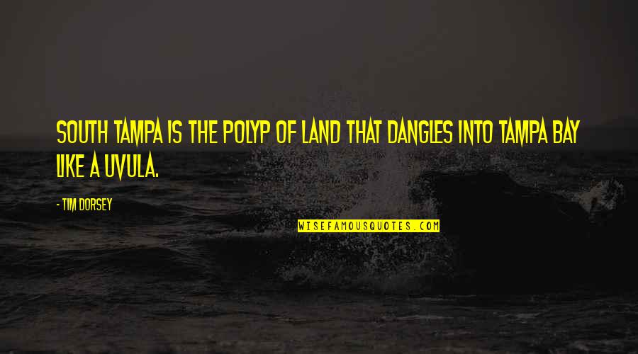 Tampa Bay Quotes By Tim Dorsey: South Tampa is the polyp of land that