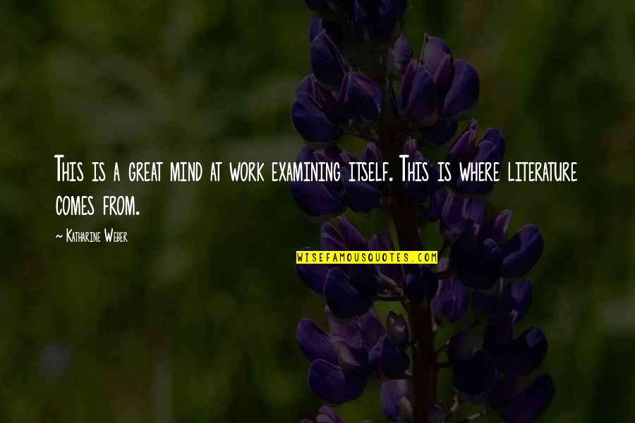 Tampan Gaming Quotes By Katharine Weber: This is a great mind at work examining