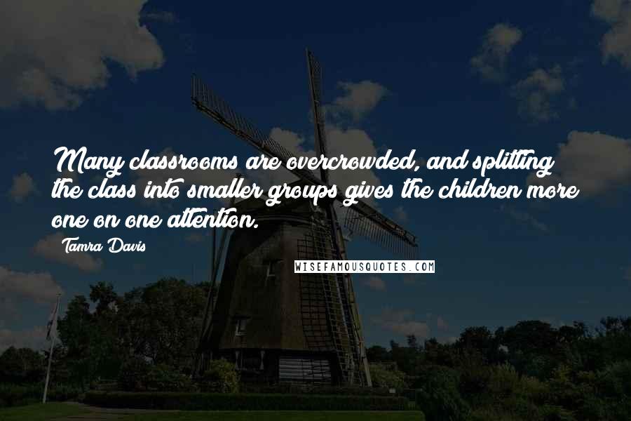 Tamra Davis quotes: Many classrooms are overcrowded, and splitting the class into smaller groups gives the children more one on one attention.