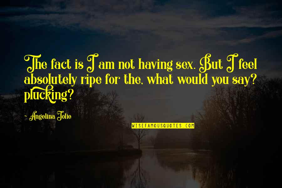 Tan Funny Quotes By Angelina Jolie: The fact is I am not having sex. Tan Funny Quotes By Angelina Jolie: The fact is I am not having sex.