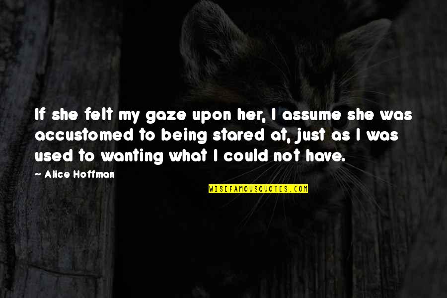 Tan Kim Quotes By Alice Hoffman: If she felt my gaze upon her, I