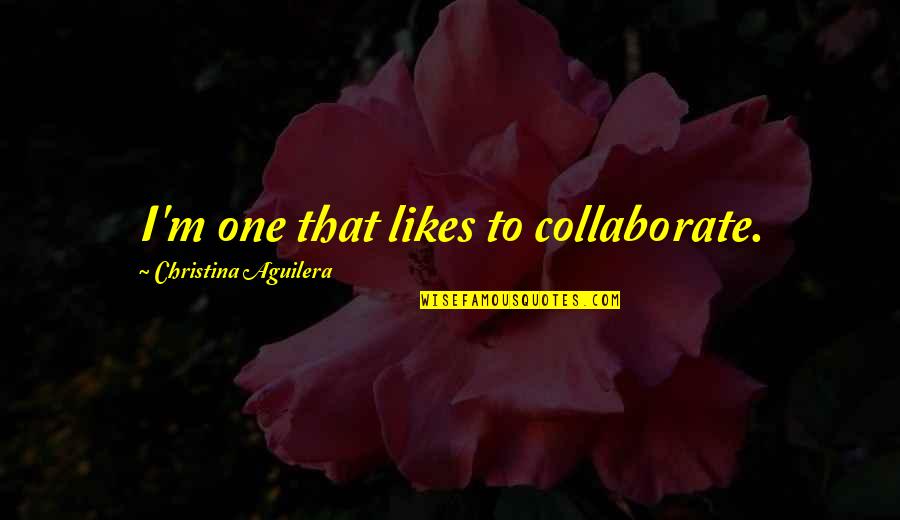 Tanasije Rajic Quotes By Christina Aguilera: I'm one that likes to collaborate.