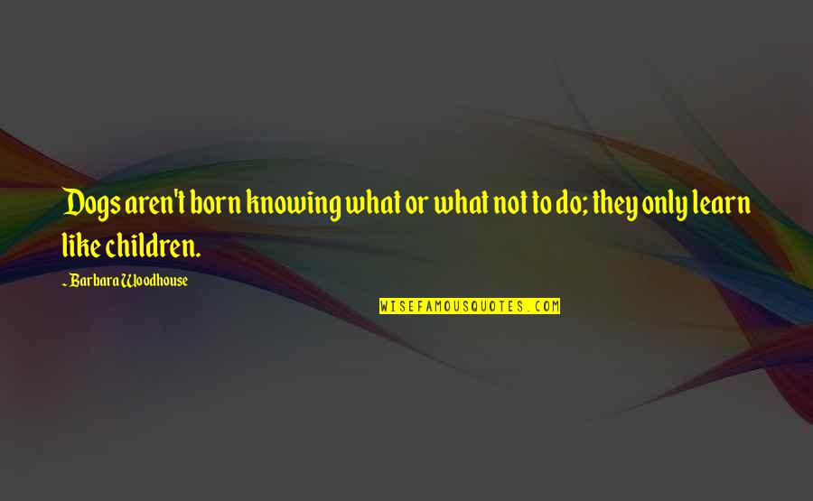 Tance Quotes By Barbara Woodhouse: Dogs aren't born knowing what or what not Tance Quotes By Barbara Woodhouse: Dogs aren't born knowing what or what not