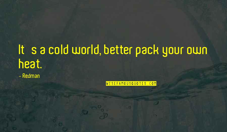 Tanga Tangahan Quotes By Redman: It's a cold world, better pack your own