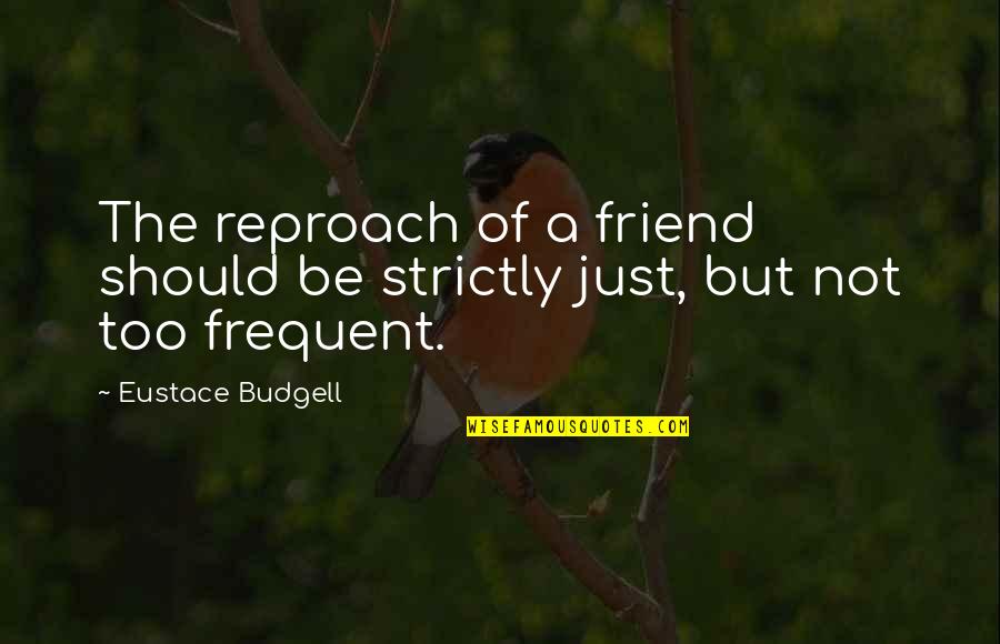 Tanges Quotes By Eustace Budgell: The reproach of a friend should be strictly