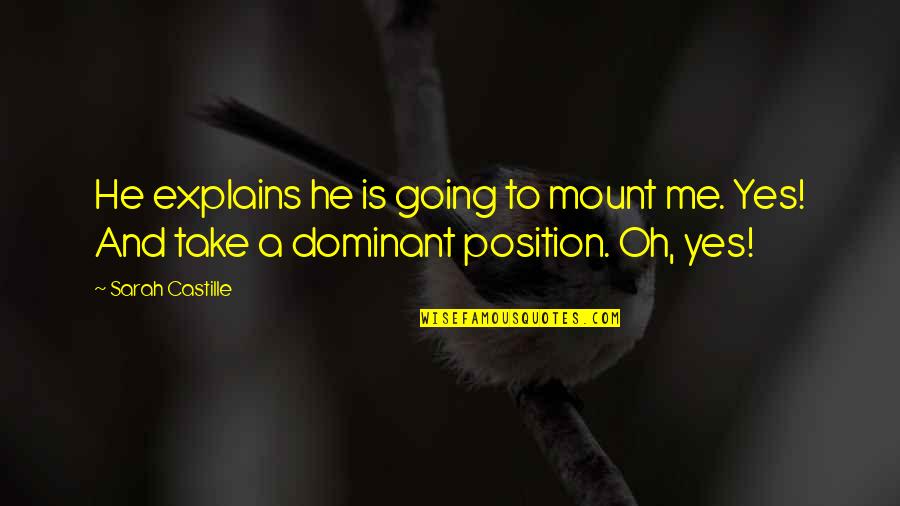 Tangisan Quotes By Sarah Castille: He explains he is going to mount me.