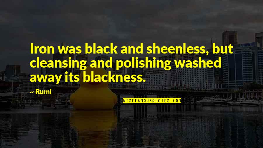 Tangiwai Stone Quotes By Rumi: Iron was black and sheenless, but cleansing and