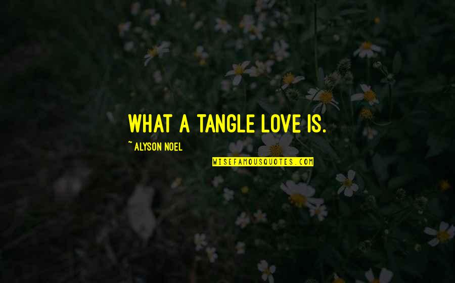 Tangle Quotes By Alyson Noel: What a tangle love is.