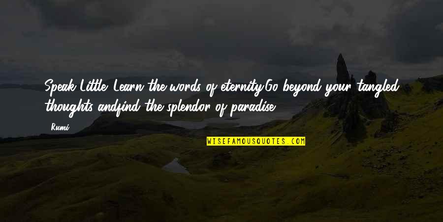 Tangled Life Quotes By Rumi: Speak Little. Learn the words of eternity.Go beyond