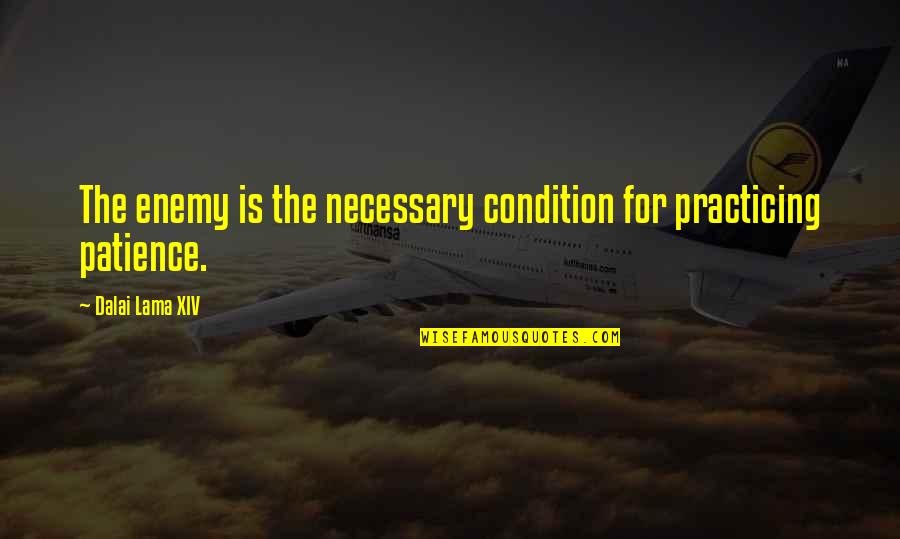 Taniej Nie Quotes By Dalai Lama XIV: The enemy is the necessary condition for practicing