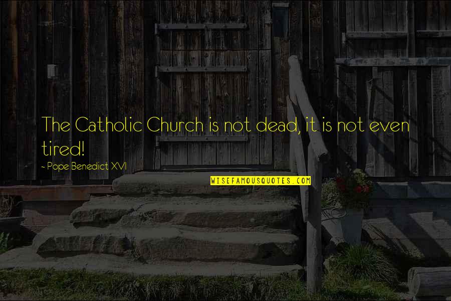 Tanigawa Seisakusho Quotes By Pope Benedict XVI: The Catholic Church is not dead, it is Tanigawa Seisakusho Quotes By Pope Benedict XVI: The Catholic Church is not dead, it is