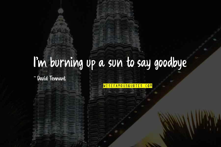 Tanimanidis Gamos Quotes By David Tennant: I'm burning up a sun to say goodbye Tanimanidis Gamos Quotes By David Tennant: I'm burning up a sun to say goodbye