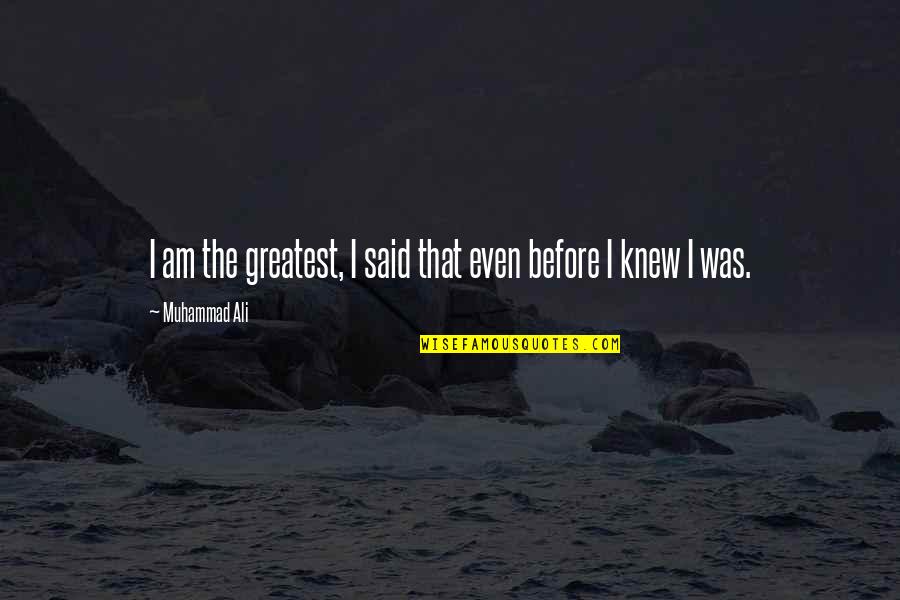 Tanneberger Golf Quotes By Muhammad Ali: I am the greatest, I said that even Tanneberger Golf Quotes By Muhammad Ali: I am the greatest, I said that even