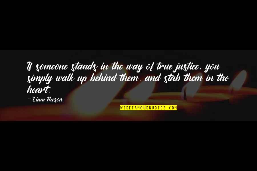Tanquam A Person Quotes By Liam Neeson: If someone stands in the way of true