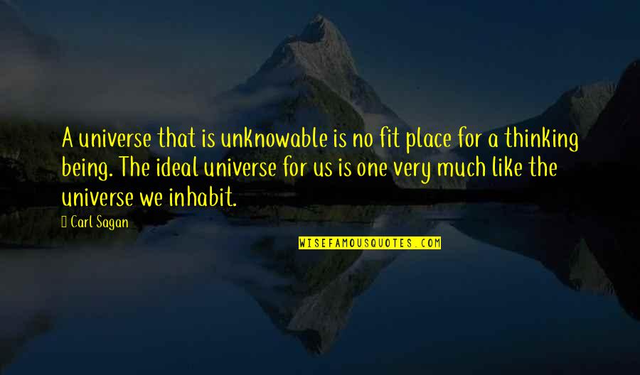 Tanquilut Md Quotes By Carl Sagan: A universe that is unknowable is no fit